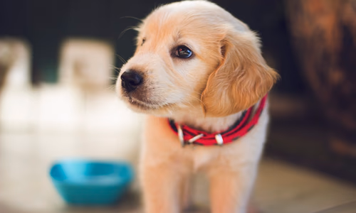 A conceptual visualization of AI ethics, showing a balanced scale with a neural network on one side and human values on the other.