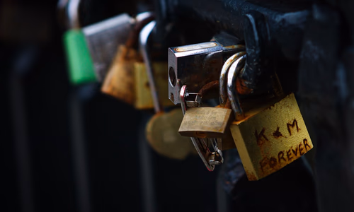 A secure digital vault representing encrypted password management.