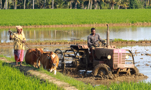 A large green John Deere tractor parked in a golden wheat field at sunset, representing the decade-long battle between American farmers and agricultural equipment manufacturers over the right to repair software-locked machinery — now culminating in a landmark $99 million settlement that has implications for automotive, consumer electronics, and AI hardware industries.