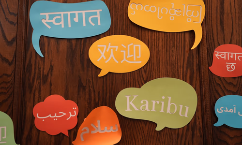 Digital representation of Indian linguistic diversity and localized AI infrastructure